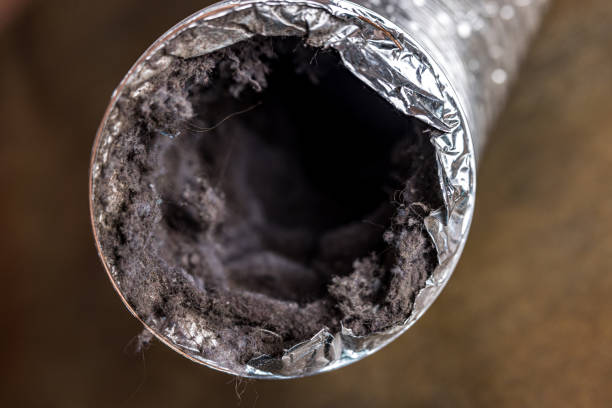 Best Air Duct Cleaning Near Me  in Skagway, AK
